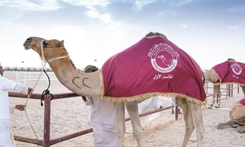 الحكومة البريطانية تحذر من حشرة قاتلة في قطر