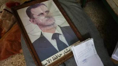 هل عقاب تمجيد الاسد هو الحل !!؟